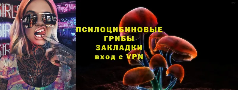 Галлюциногенные грибы Psilocybine cubensis  наркота  Зарайск 